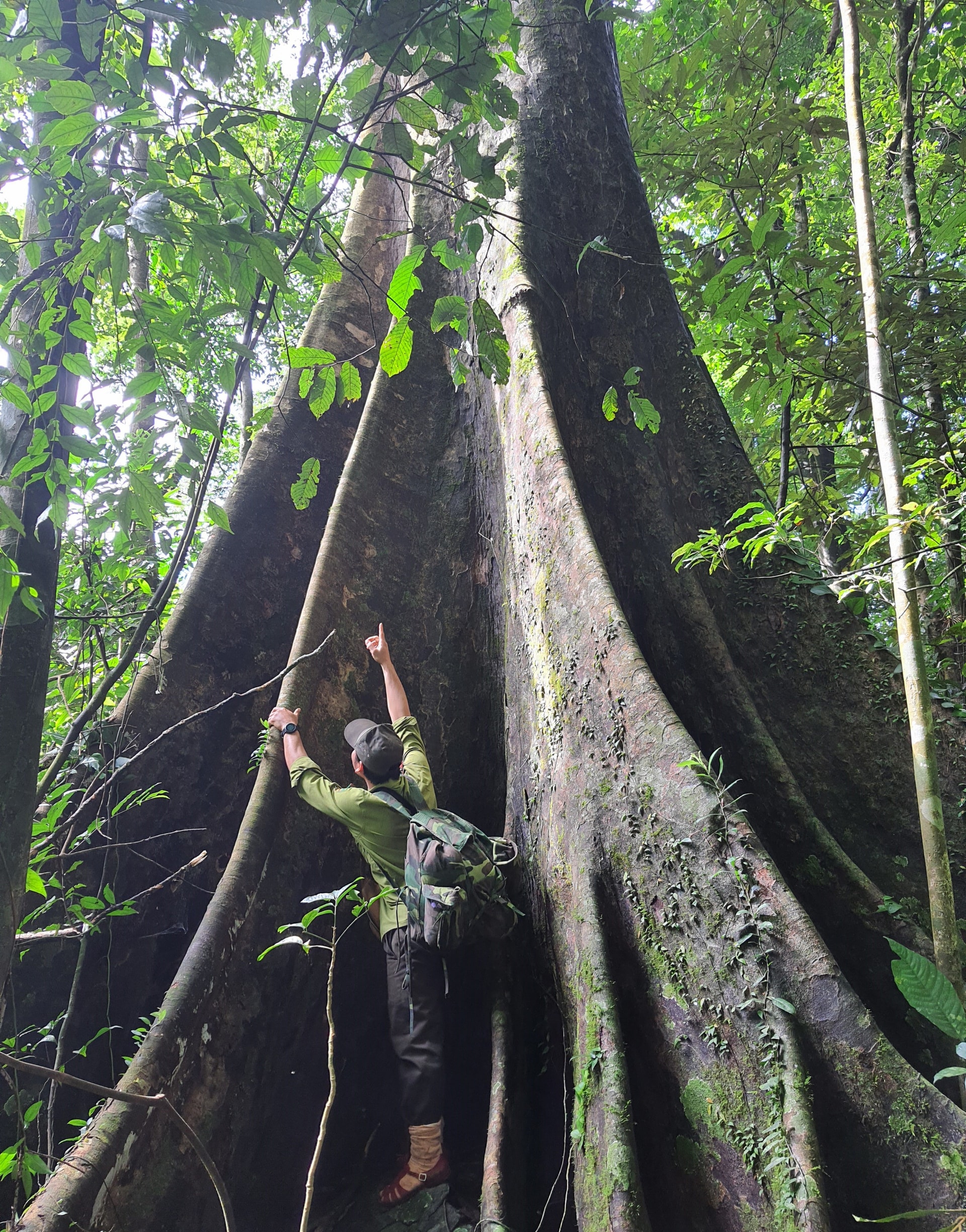 Khám phá Vườn di sản ASEAN, 'mái nhà chung' của nhiều loài động vật quý hiếm ở Huế- Ảnh 7.
