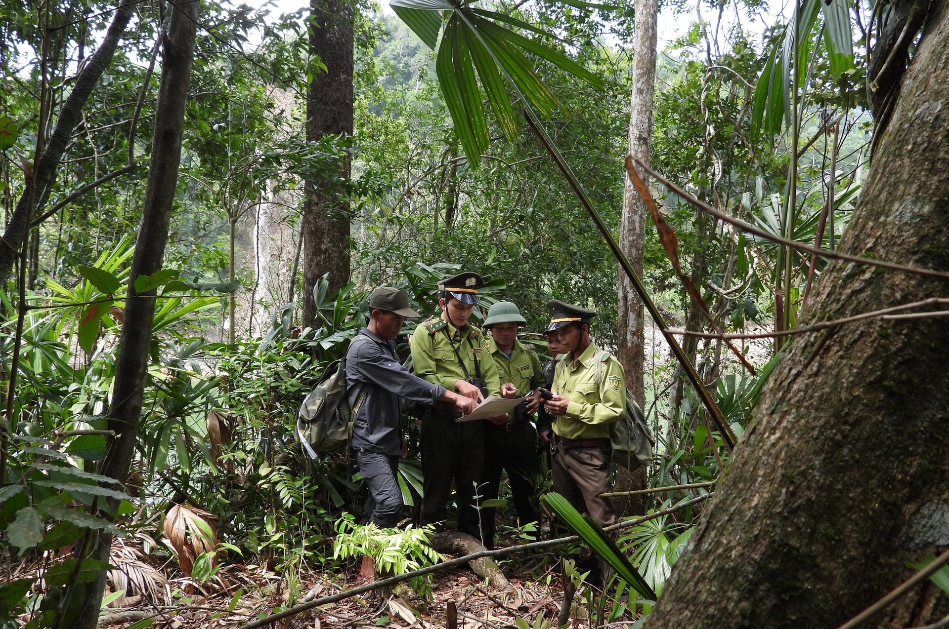 Khám phá Vườn di sản ASEAN, 'mái nhà chung' của nhiều loài động vật quý hiếm ở Huế- Ảnh 6.