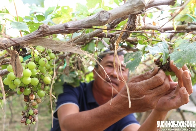 Người dân Khánh Hòa nỗ lực tái thiết cuộc sống sau lũ dữ- Ảnh 2. Người dân Khánh Hòa nỗ lực tái thiết cuộc sống sau lũ dữ- Ảnh 2.