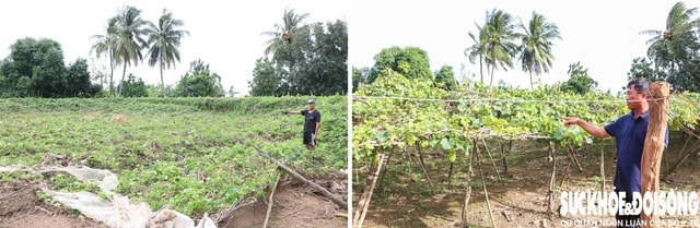 Người dân Khánh Hòa nỗ lực tái thiết cuộc sống sau lũ dữ- Ảnh 1. Người dân Khánh Hòa nỗ lực tái thiết cuộc sống sau lũ dữ- Ảnh 1.