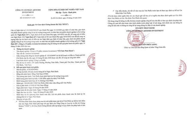 Lô trái phiếu của Công ty Cổ phần Artemis Investment bị báo cáo vi phạm- Ảnh 2.