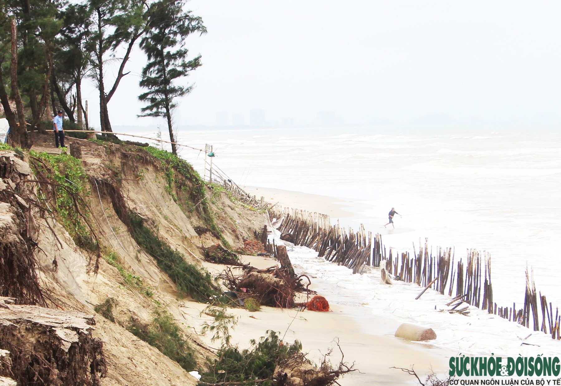 Cận cảnh bờ biển bị sóng dữ xé toạc, đe dọa 'nuốt' hàng loạt công trình- Ảnh 1.