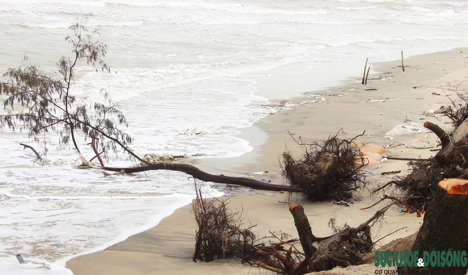 Cận cảnh bờ biển bị sóng dữ xé toạc, đe dọa 'nuốt' hàng loạt công trình- Ảnh 3.