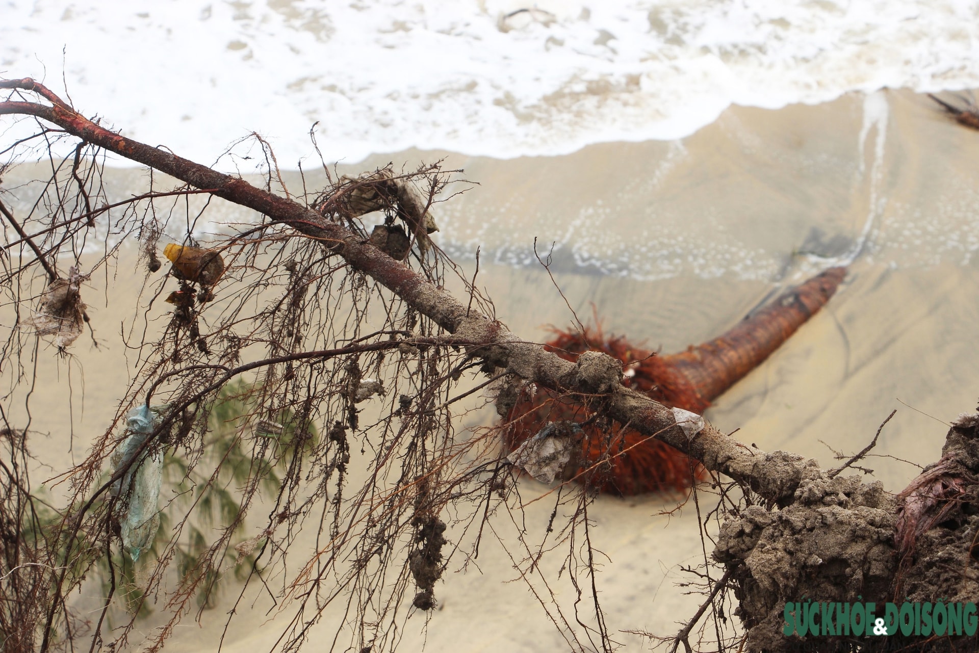 Cận cảnh bờ biển bị sóng dữ xé toạc, đe dọa 'nuốt' hàng loạt công trình- Ảnh 5.