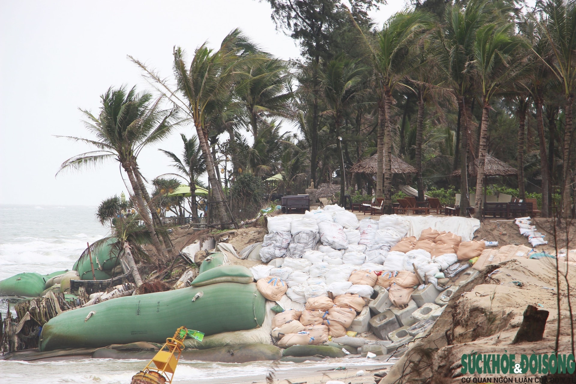 Cận cảnh bờ biển bị sóng dữ xé toạc, đe dọa 'nuốt' hàng loạt công trình- Ảnh 7.