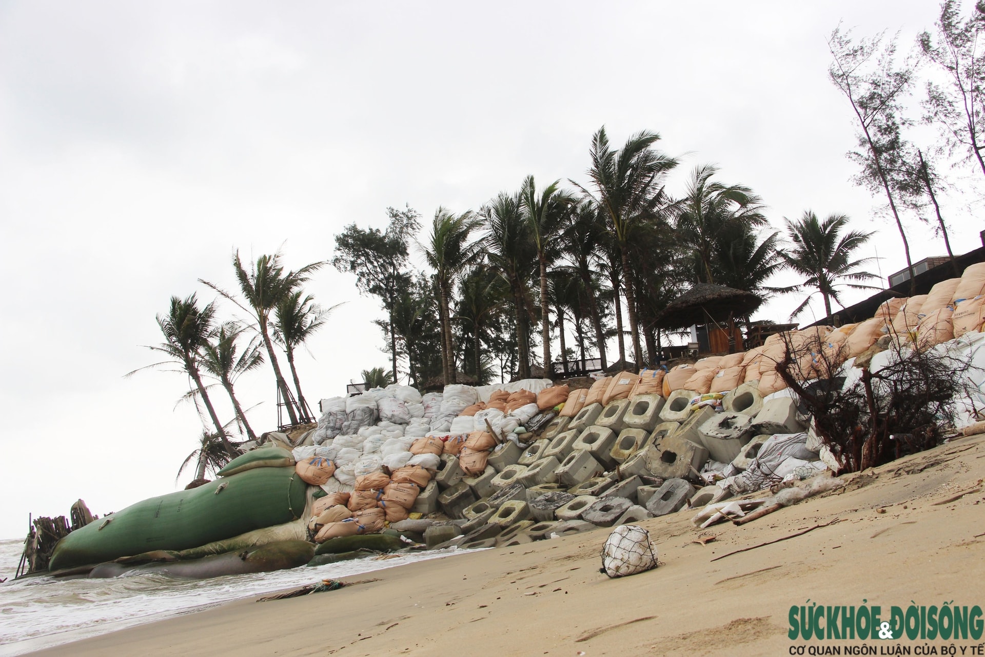 Cận cảnh bờ biển bị sóng dữ xé toạc, đe dọa 'nuốt' hàng loạt công trình- Ảnh 8.