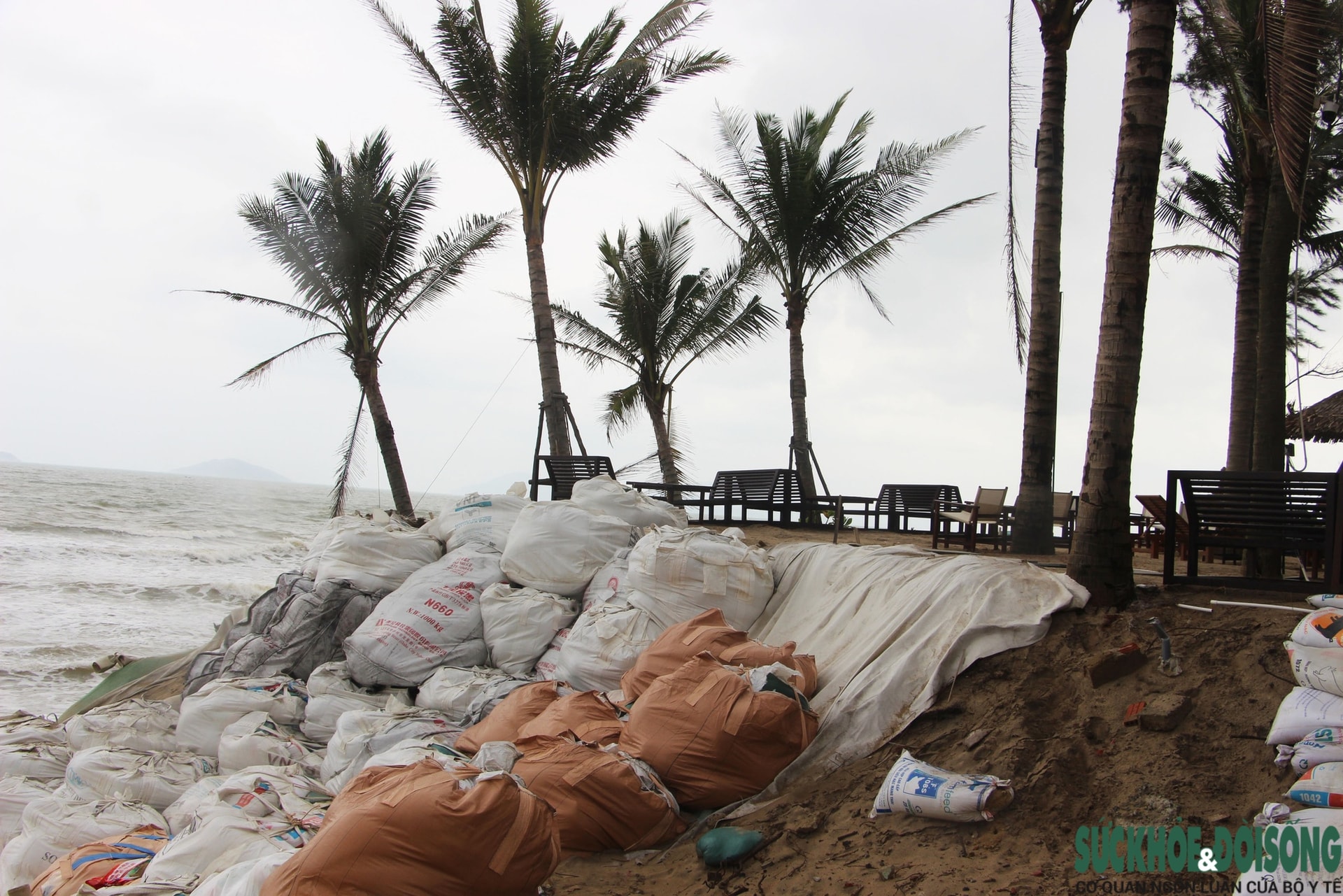 Cận cảnh bờ biển bị sóng dữ xé toạc, đe dọa 'nuốt' hàng loạt công trình- Ảnh 11.