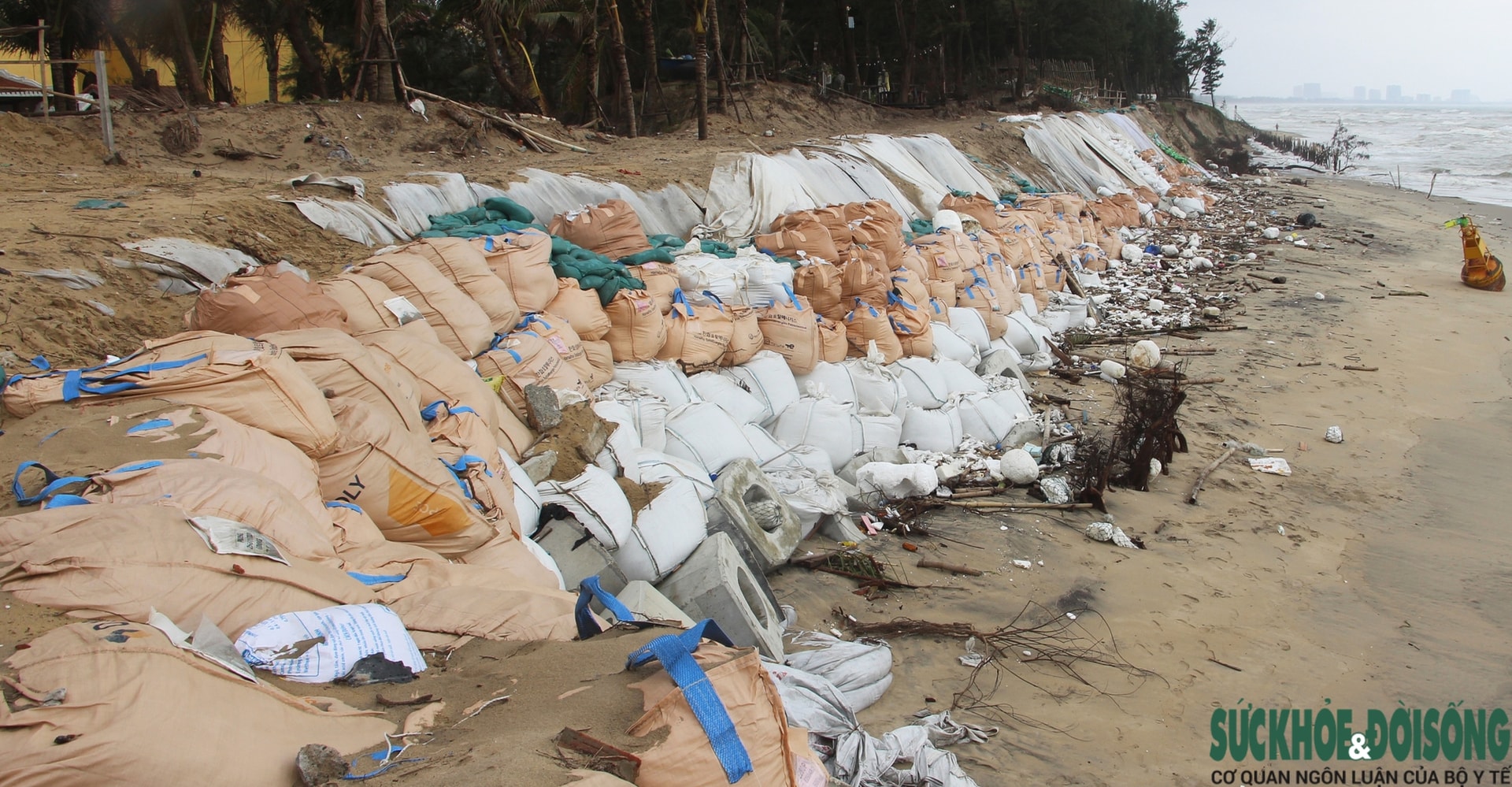 Cận cảnh bờ biển bị sóng dữ xé toạc, đe dọa 'nuốt' hàng loạt công trình- Ảnh 12.