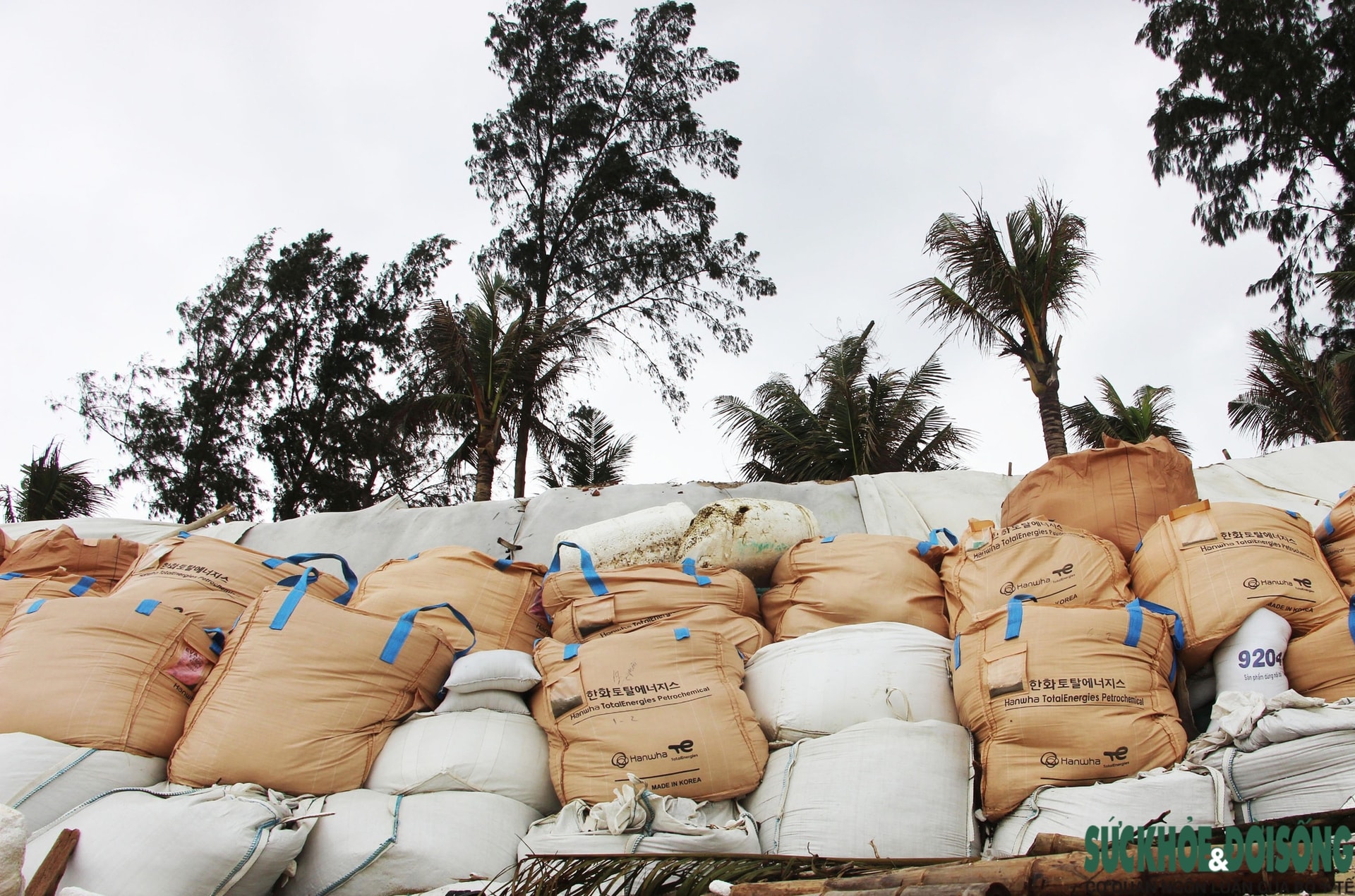 Cận cảnh bờ biển bị sóng dữ xé toạc, đe dọa 'nuốt' hàng loạt công trình- Ảnh 13.