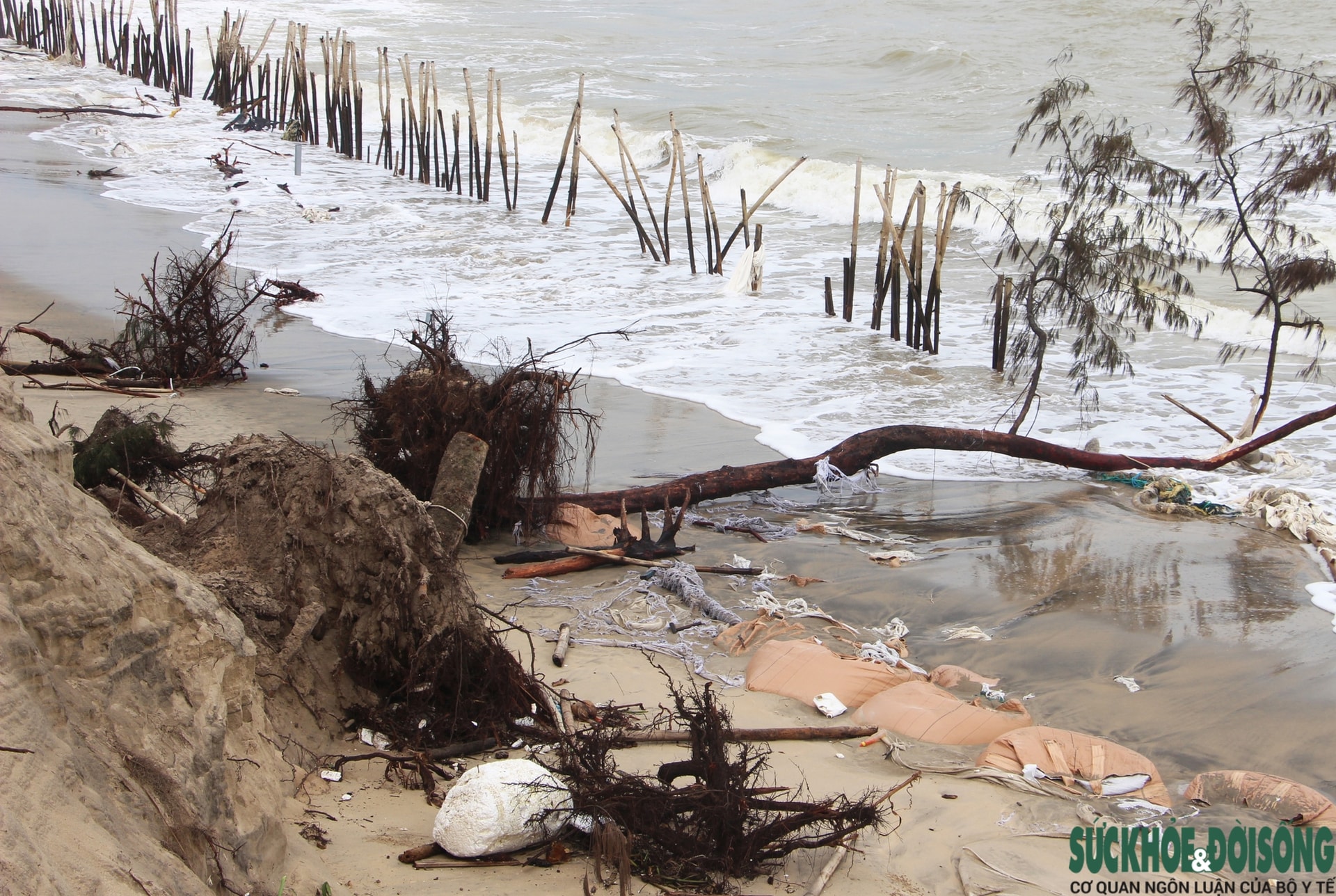 Cận cảnh bờ biển bị sóng dữ xé toạc, đe dọa 'nuốt' hàng loạt công trình- Ảnh 15.