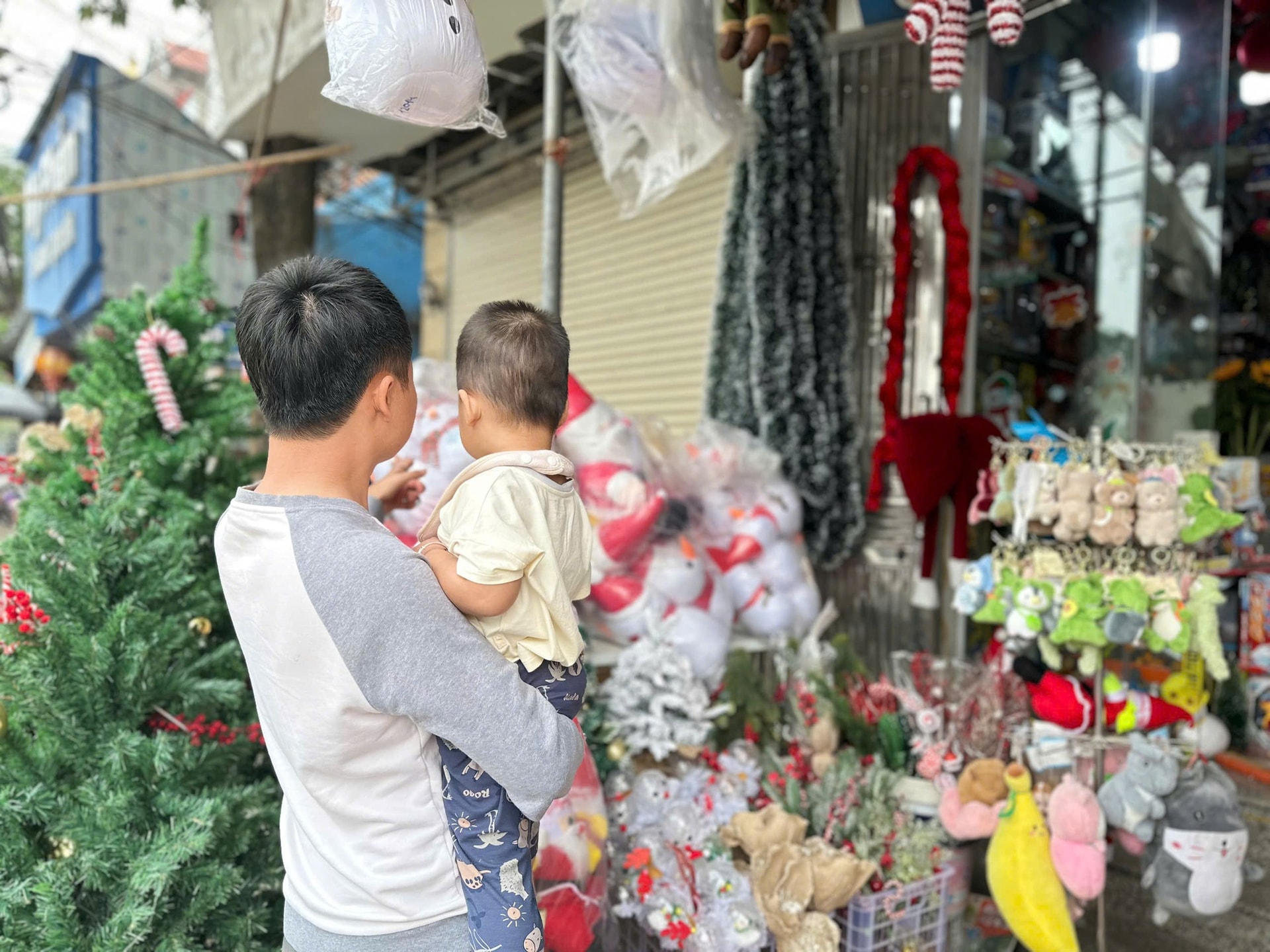 Thông tươi giá rẻ được chị em ‘săn đón’ trang trí dịp Giáng sinh 2025- Ảnh 1. Thông tươi giá rẻ được chị em ‘săn đón’ trang trí dịp Giáng sinh 2025- Ảnh 1.