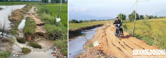 Khánh Hoà khẩn trương tu sửa công trình thủy lợi, tái thiết cuộc sống sau lũ- Ảnh 3. Khánh Hoà khẩn trương tu sửa công trình thủy lợi, tái thiết cuộc sống sau lũ- Ảnh 3.