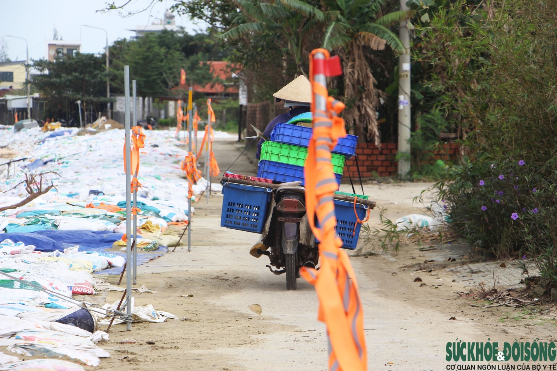 Cả làng chạy đua với thời gian, giành từng mét đất trước 'hà bá'- Ảnh 4.