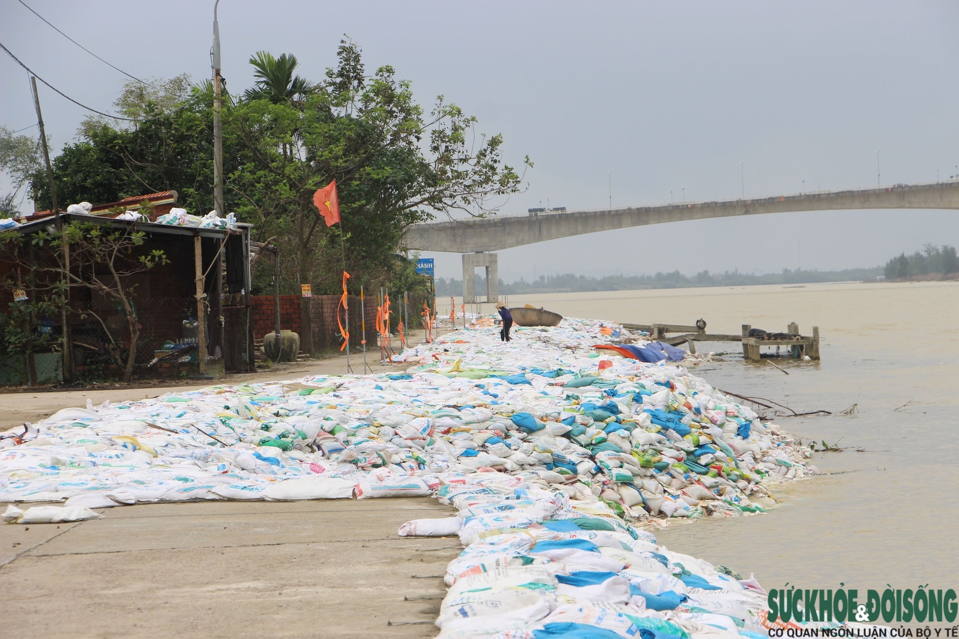Cả làng chạy đua với thời gian, giành từng mét đất trước 'hà bá'- Ảnh 5.