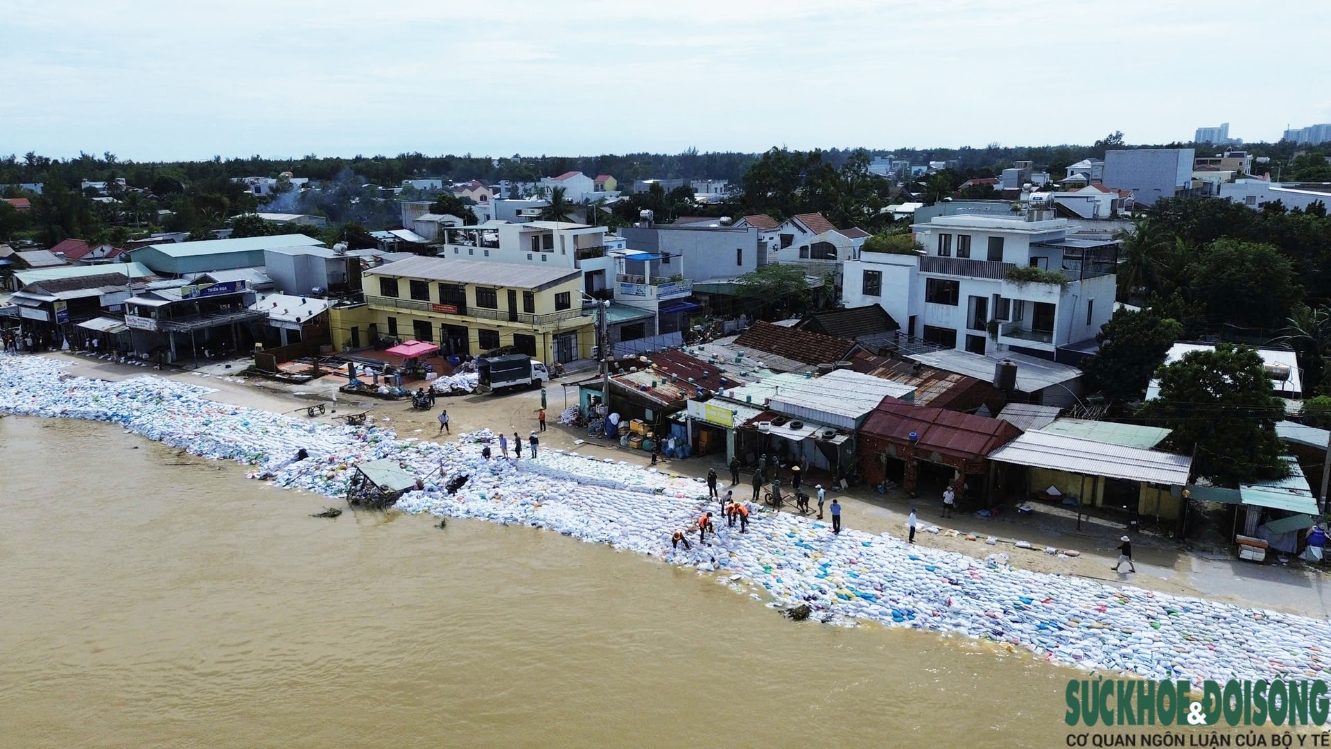 Cả làng chạy đua với thời gian, giành từng mét đất trước 'hà bá'- Ảnh 6.