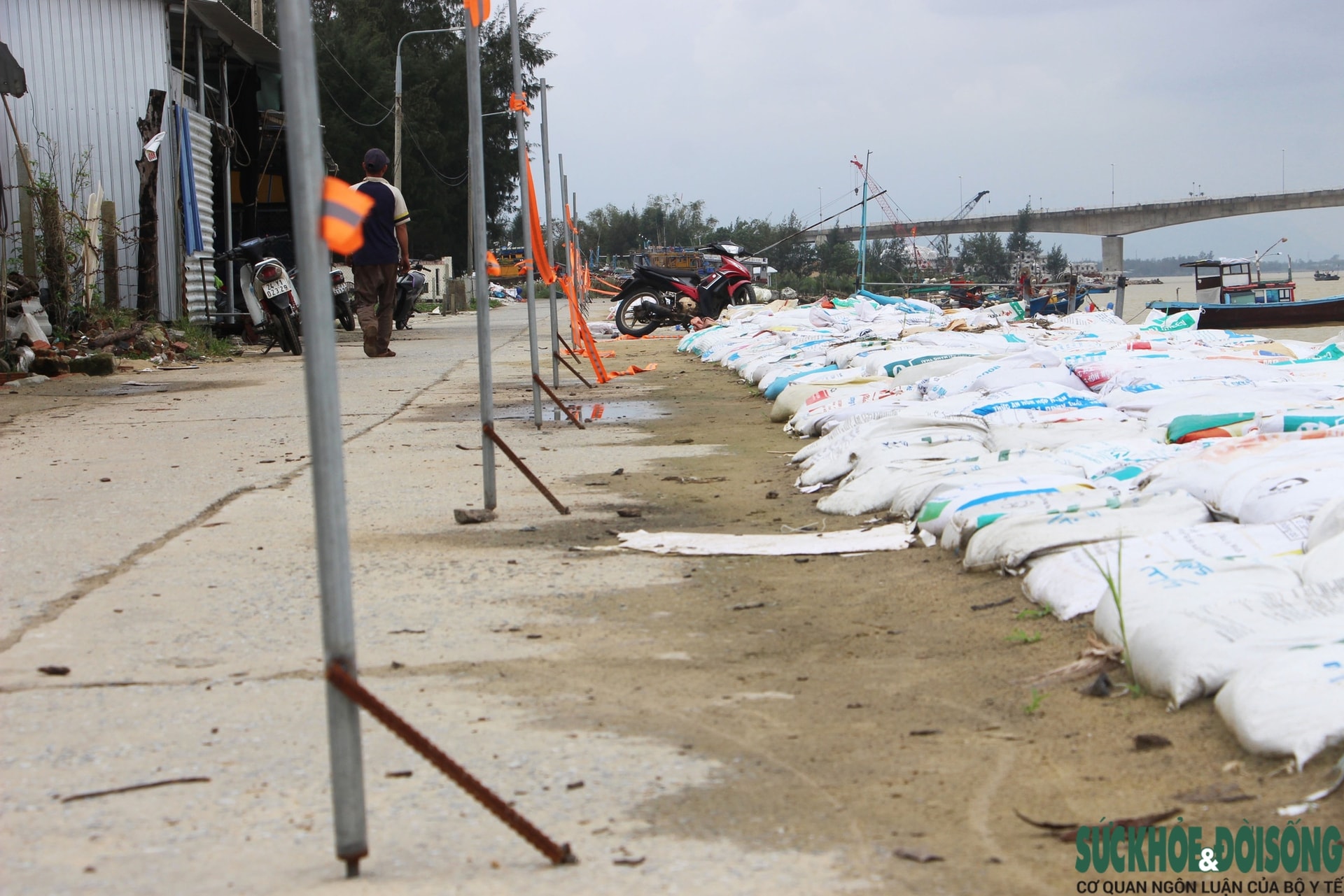 Cả làng chạy đua với thời gian, giành từng mét đất trước 'hà bá'- Ảnh 7.