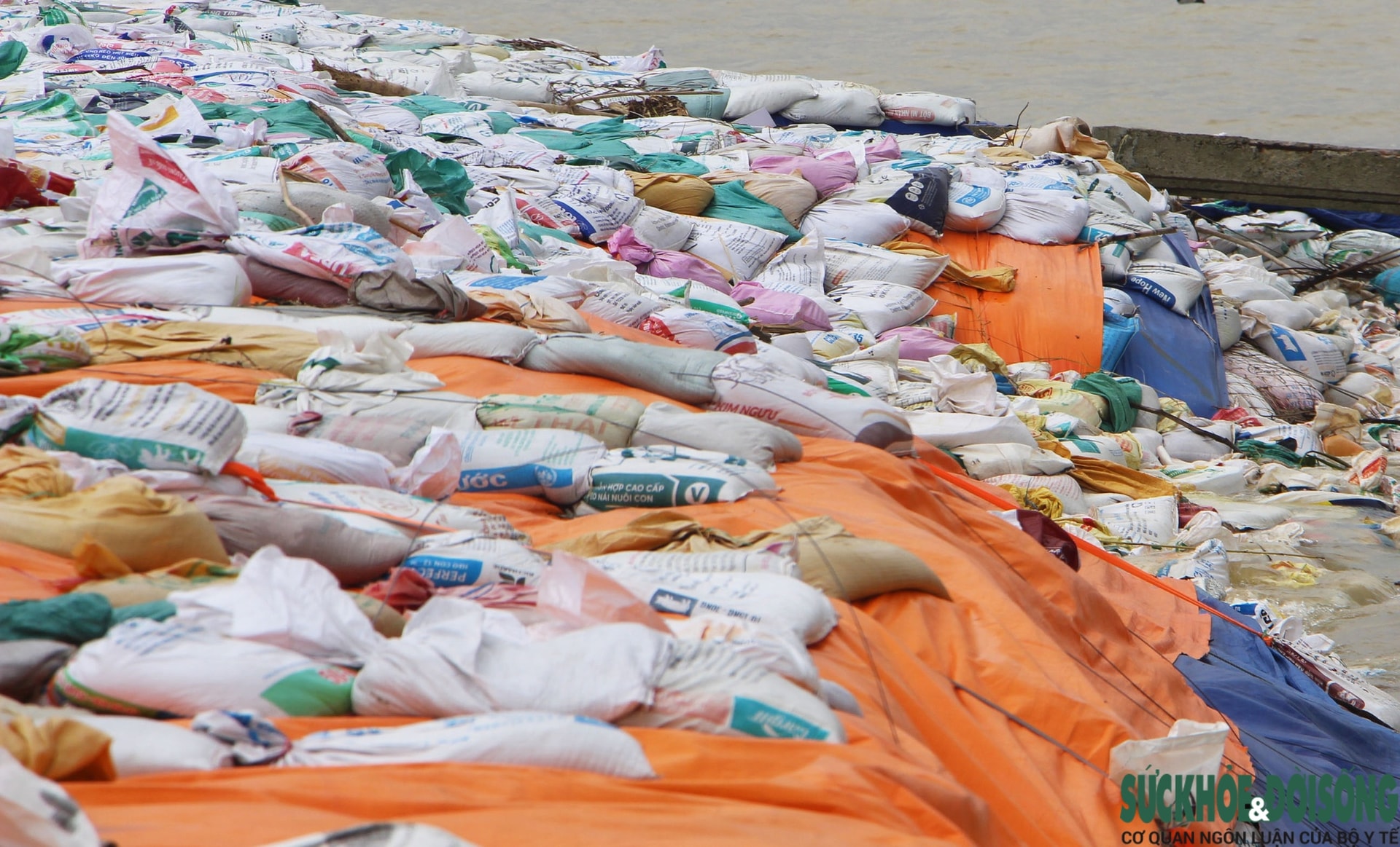 Cả làng chạy đua với thời gian, giành từng mét đất trước 'hà bá'- Ảnh 9.