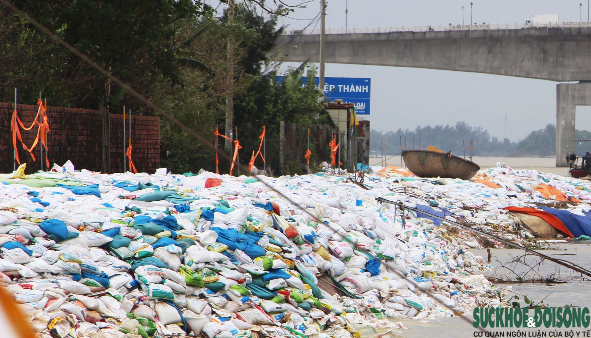 Cả làng chạy đua với thời gian, giành từng mét đất trước 'hà bá'- Ảnh 11.