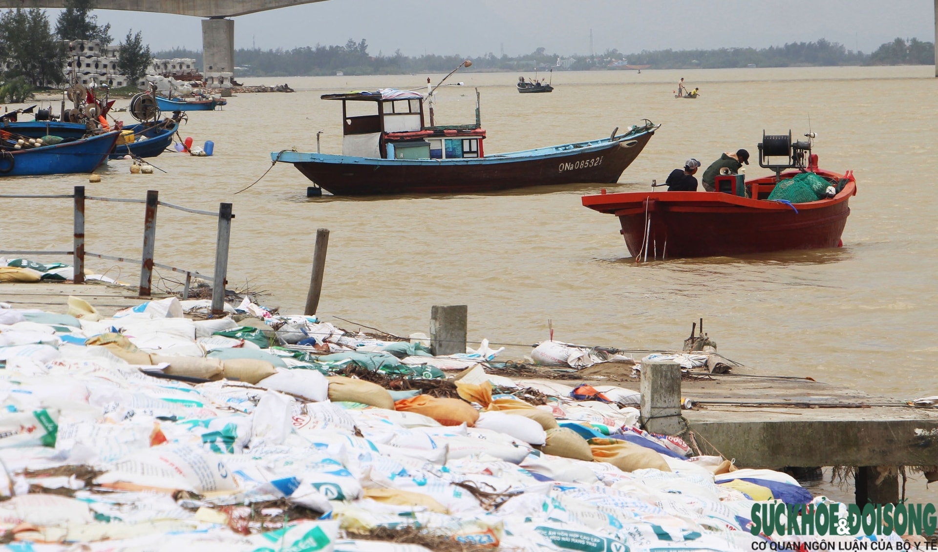 Cả làng chạy đua với thời gian, giành từng mét đất trước 'hà bá'- Ảnh 13.