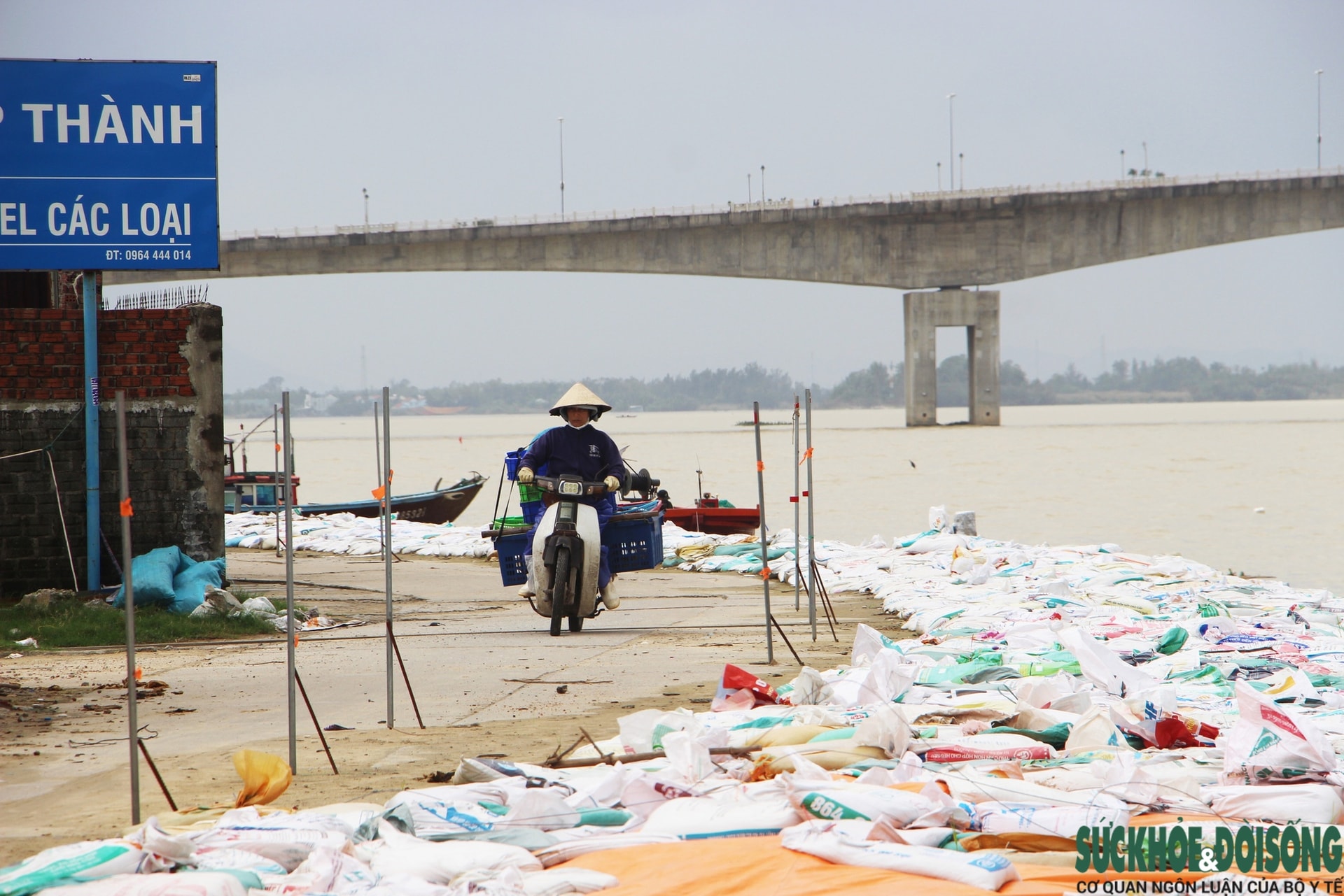 Cả làng chạy đua với thời gian, giành từng mét đất trước 'hà bá'- Ảnh 14.