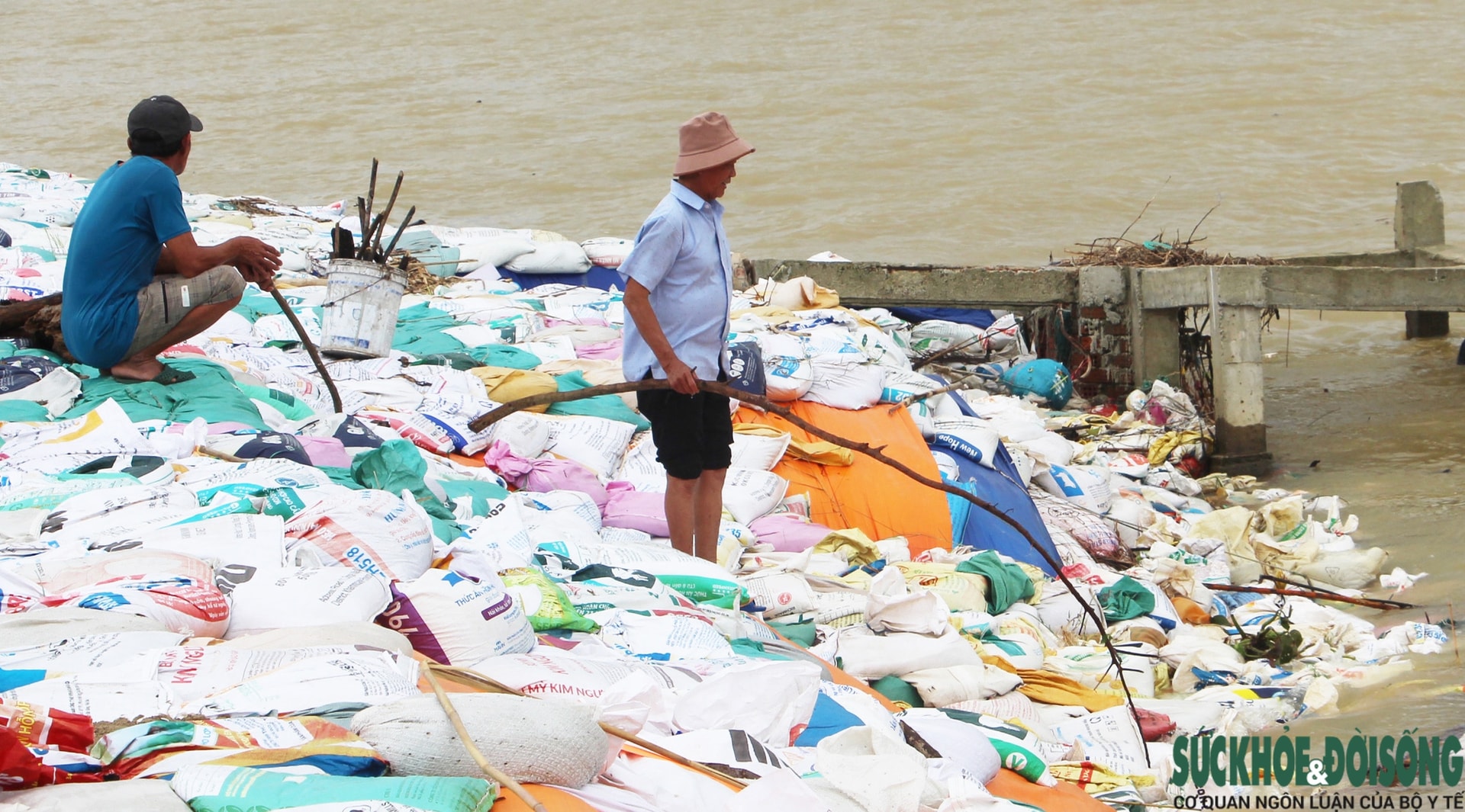 Cả làng chạy đua với thời gian, giành từng mét đất trước 'hà bá'- Ảnh 15.