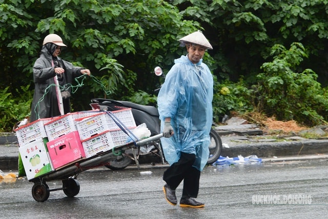 Miền Bắc có sương mù trời rét, miền Trung mưa lớn- Ảnh 1. Miền Bắc có sương mù trời rét, miền Trung mưa lớn- Ảnh 1.