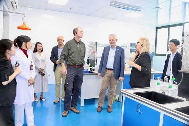 Đoàn chuyên gia y tế Đan Mạch làm việc tại Hưng Yên- Ảnh 2.