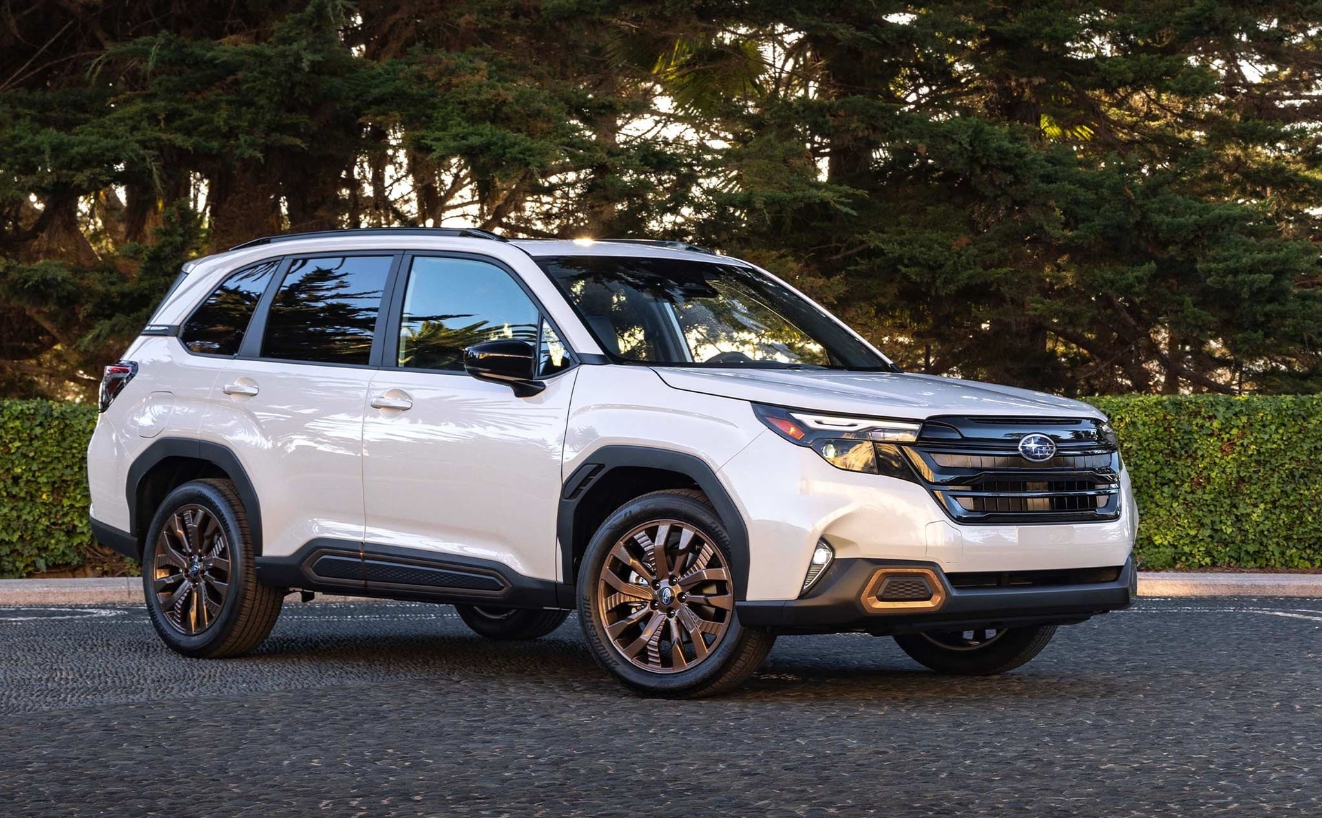 Subaru thắng 'Xe của năm' ở Nhật Bản nhưng vì sao chưa bứt phá tại Việt Nam? - 1