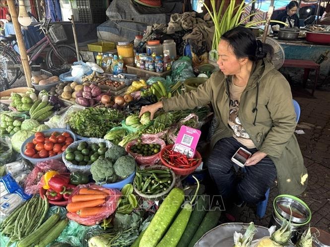 Giá rau xanh hạ nhiệt- Ảnh 1. Giá rau xanh hạ nhiệt- Ảnh 1.