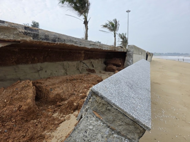 Biển 'ngoạm' bờ, phá tuyến kè hàng chục tỷ, 'ăn' dần rừng phi lao ở Quảng Trị- Ảnh 7. Biển 'ngoạm' bờ, phá tuyến kè hàng chục tỷ, 'ăn' dần rừng phi lao ở Quảng Trị- Ảnh 7.