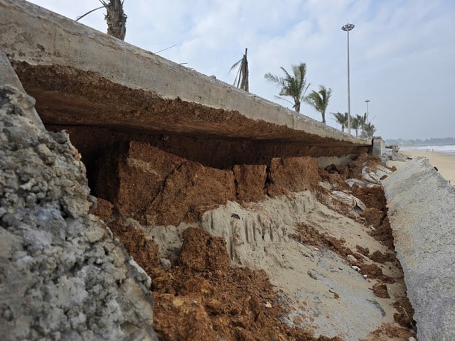 Biển 'ngoạm' bờ, phá tuyến kè hàng chục tỷ, 'ăn' dần rừng phi lao ở Quảng Trị- Ảnh 3. Biển 'ngoạm' bờ, phá tuyến kè hàng chục tỷ, 'ăn' dần rừng phi lao ở Quảng Trị- Ảnh 3.
