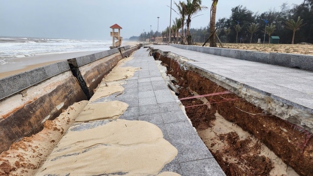 Biển 'ngoạm' bờ, phá tuyến kè hàng chục tỷ, 'ăn' dần rừng phi lao ở Quảng Trị- Ảnh 2. Biển 'ngoạm' bờ, phá tuyến kè hàng chục tỷ, 'ăn' dần rừng phi lao ở Quảng Trị- Ảnh 2.