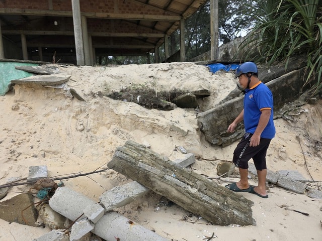 Biển 'ngoạm' bờ, phá tuyến kè hàng chục tỷ, 'ăn' dần rừng phi lao ở Quảng Trị- Ảnh 6. Biển 'ngoạm' bờ, phá tuyến kè hàng chục tỷ, 'ăn' dần rừng phi lao ở Quảng Trị- Ảnh 6.