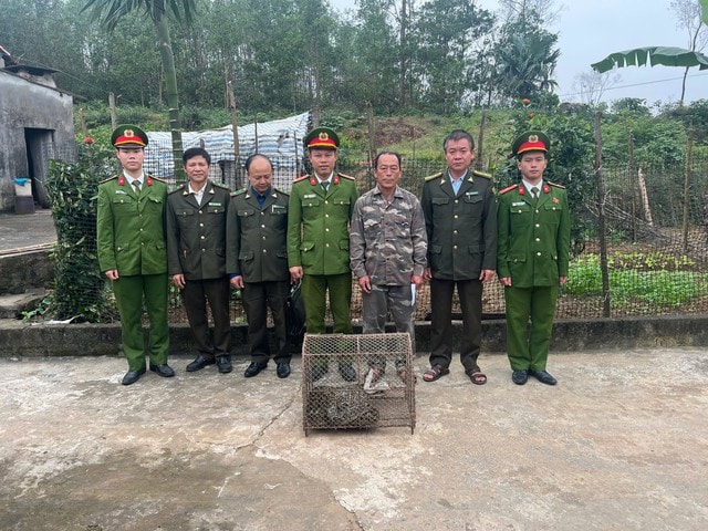 Liên tiếp phát hiện động vật quý hiếm bò vào vườn nhà dân- Ảnh 2.