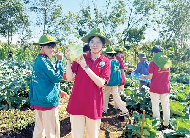 Phát triển toàn diện ở trường phổ thông chất lượng cao tại Gia Lai- Ảnh 3.