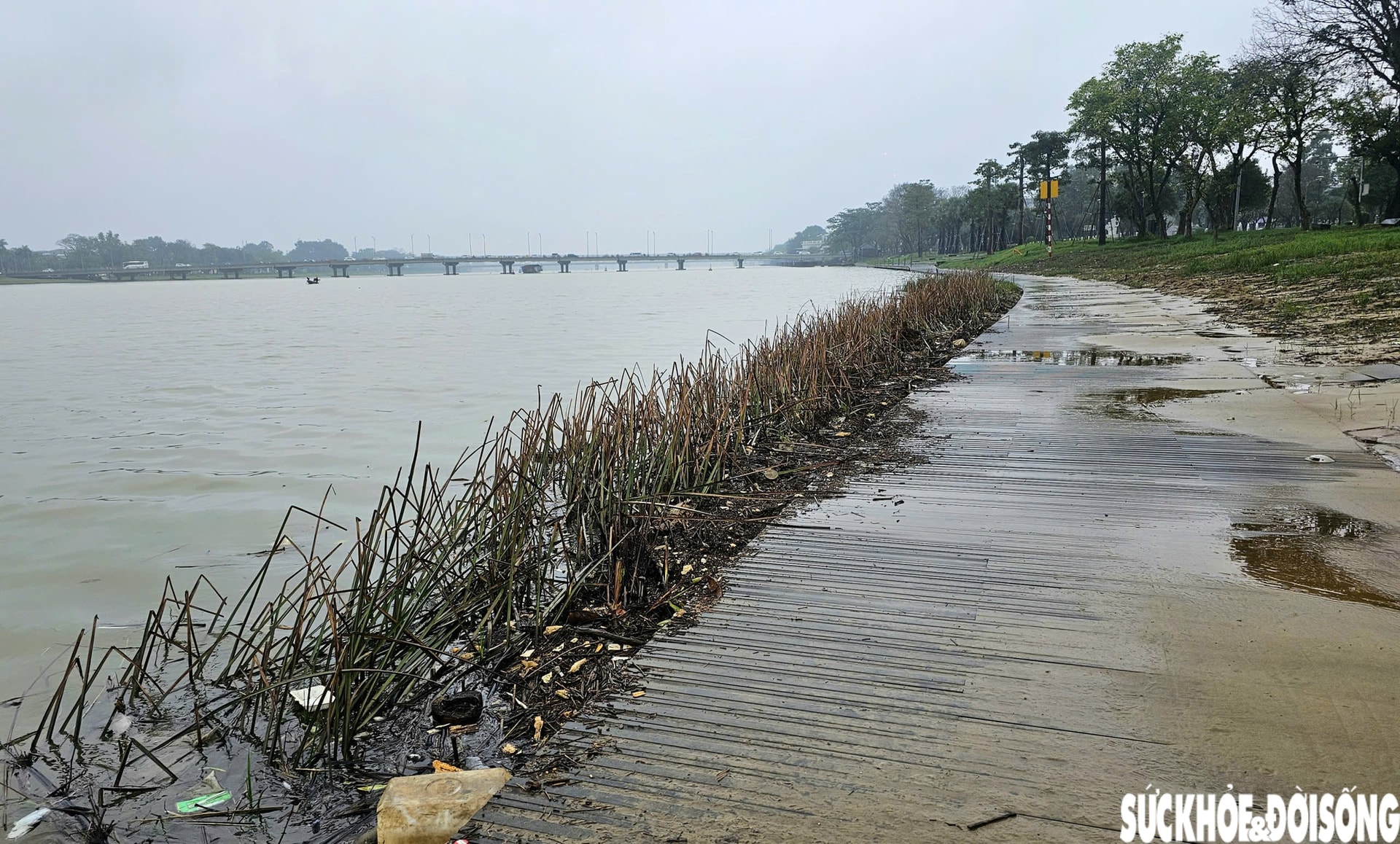 Hiện trạng sân khấu ngoài trời kết hợp đường dạo ven sông ở Huế sau lũ- Ảnh 11.