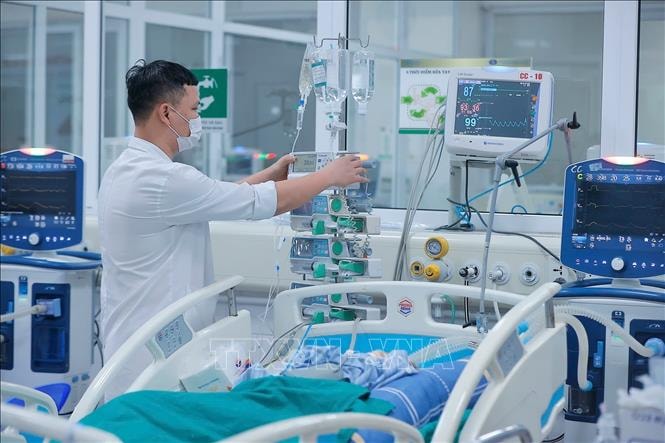 WHO: Virus cúm A chiếm ưu thế trong mùa cúm toàn cầu- Ảnh 1.