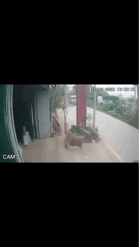 Vụ đẩy CSGT vào đầu xe tải đang chạy: Vì sao phải xem xét tội giết người?- Ảnh 1. Vụ đẩy CSGT vào đầu xe tải đang chạy: Vì sao phải xem xét tội giết người?- Ảnh 1.