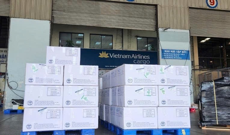 Đảm bảo cung ứng đầy đủ các vắc xin trong Chương trình Tiêm chủng mở rộng- Ảnh 2.