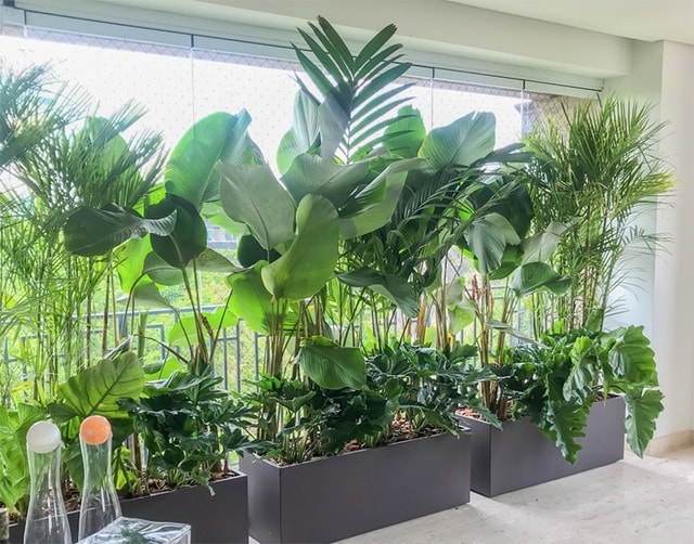 Chuyên gia 'bật mí' cách tránh bụi mịn tràn vào nhà - Ảnh 2. Chuyên gia 'bật mí' cách tránh bụi mịn tràn vào nhà - Ảnh 2.