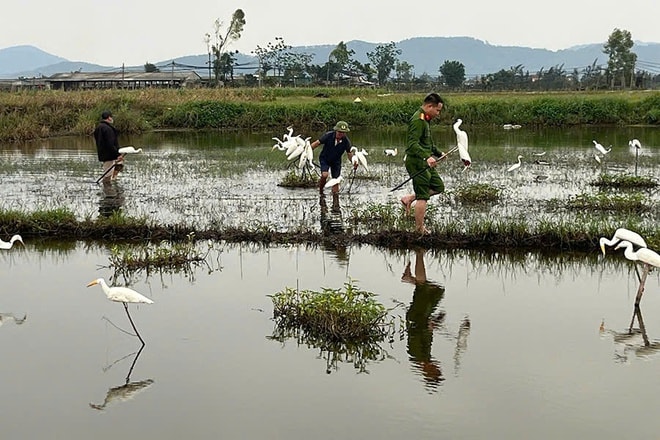Truy quét hàng loạt vụ săn bắt, buôn bán động vật hoang dã- Ảnh 3.