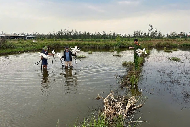 Truy quét hàng loạt vụ săn bắt, buôn bán động vật hoang dã- Ảnh 2.