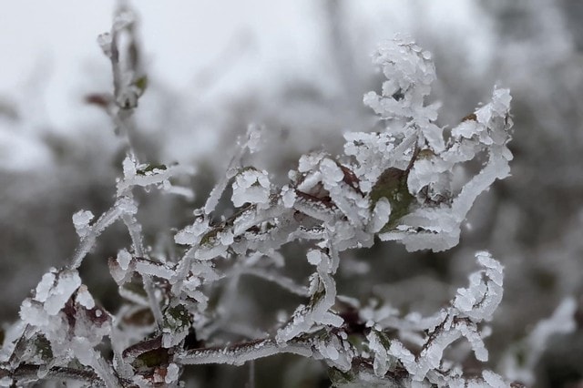 Đợt rét ở miền Bắc kéo dài đến khi nào? - Ảnh 1. Đợt rét ở miền Bắc kéo dài đến khi nào? - Ảnh 1.