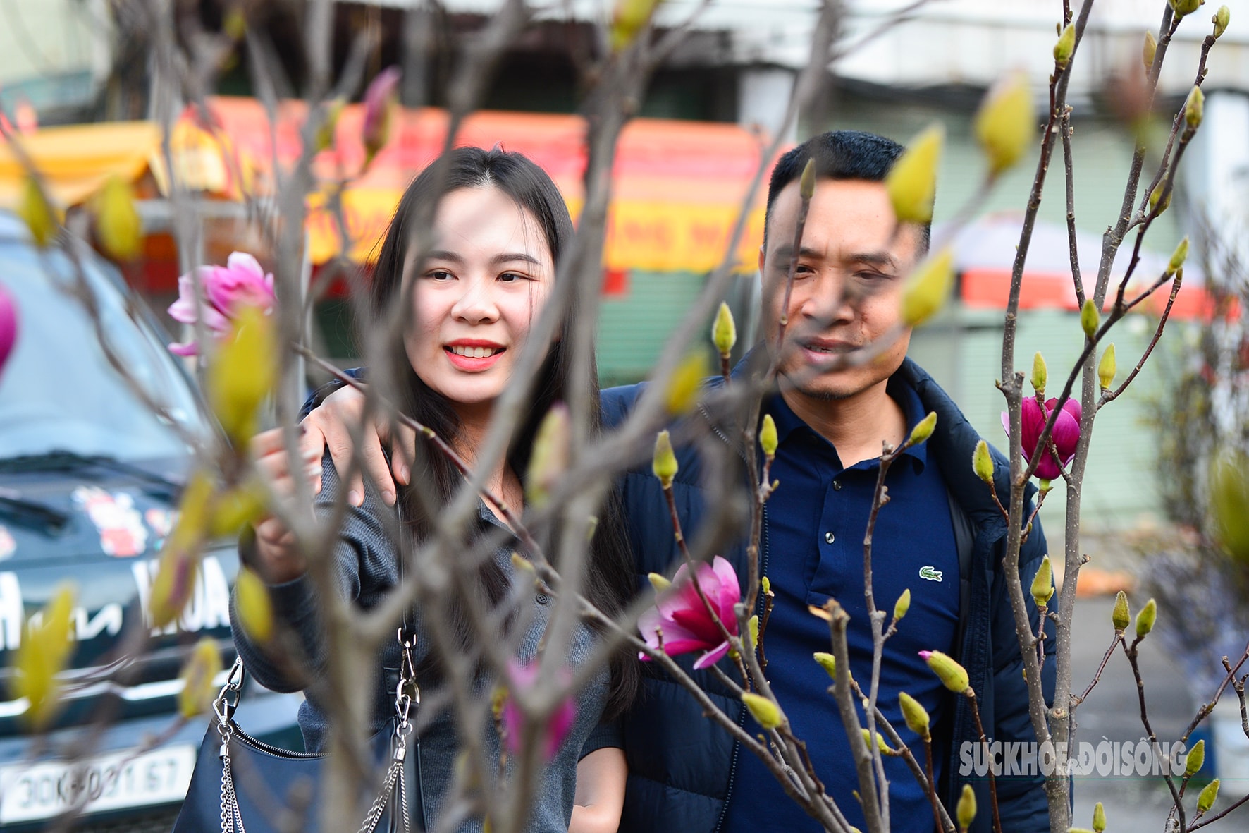 Còn hơn 2 tháng nữa mới Tết,  hoa mộc lan nhập khẩu 'đổ bộ' chợ hoa Quảng An, người Hà Nội  thích thú săn đón- Ảnh 7.