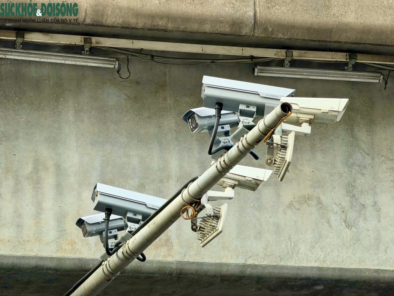 CSGT xử lý các vi phạm 'gây khó' cho hệ thống camera AI- Ảnh 2.