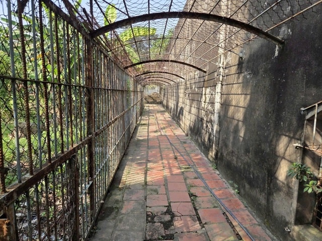 Phát hiện cơ sở nuôi nhốt nhiều động vật hoang dã nguy cấp ở TPHCM- Ảnh 4.