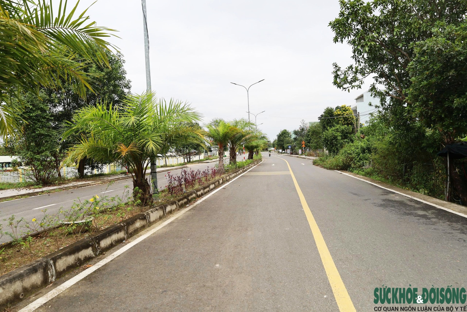 Cận cảnh con đường độc lạ, bị 'bẻ cong' vì một… ngôi nhà- Ảnh 1.