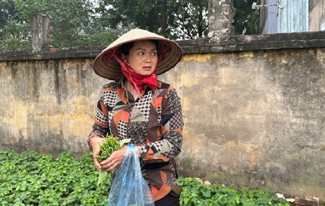 Đốt rác tự phát, nguyên nhân làm nghiêm trọng thêm ô nhiễm không khí- Ảnh 4. Đốt rác tự phát, nguyên nhân làm nghiêm trọng thêm ô nhiễm không khí- Ảnh 4.