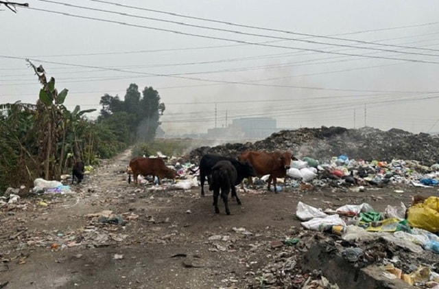 Đốt rác tự phát, nguyên nhân làm nghiêm trọng thêm ô nhiễm không khí- Ảnh 5. Đốt rác tự phát, nguyên nhân làm nghiêm trọng thêm ô nhiễm không khí- Ảnh 5.