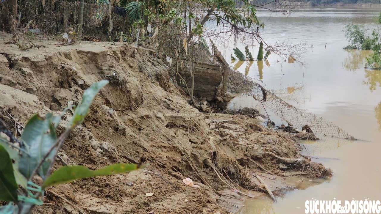 Sạt lở 'nuốt' đường, đe doạ nhà cửa, đất sản xuất của người dân- Ảnh 8.